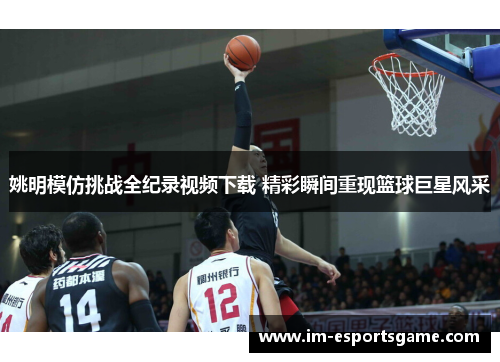姚明模仿挑战全纪录视频下载 精彩瞬间重现篮球巨星风采